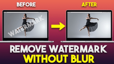 Remove Watermark from Video
