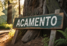 Acamento